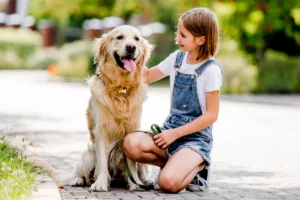 What If a Dog Bit My Child in a Park?